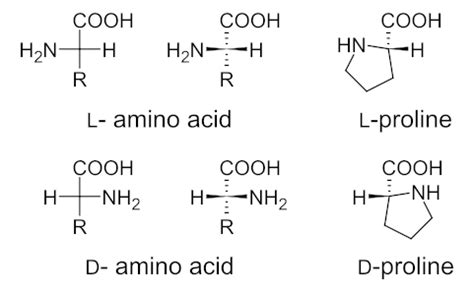 biochemistry - Correct way of drawing D-configuration with this stereochemistry? - Chemistry ...