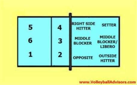 Diagram Of Volleyball Court With Positions