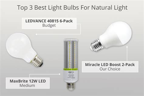 8 Best Light Bulbs For Natural Light in 2024