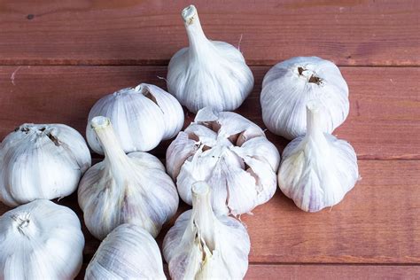 Garlic Bulb Vs Garlic Clove