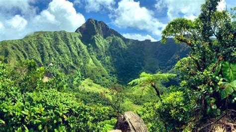 Volcano Crater hike in St Kitts - St Kitts Taxi and tours