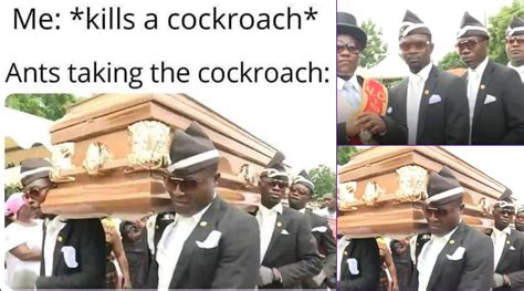 Viral News | Funeral Dance Funny Memes: Video of Ghana’s Pallbearers Carrying Coffin Will Make ...