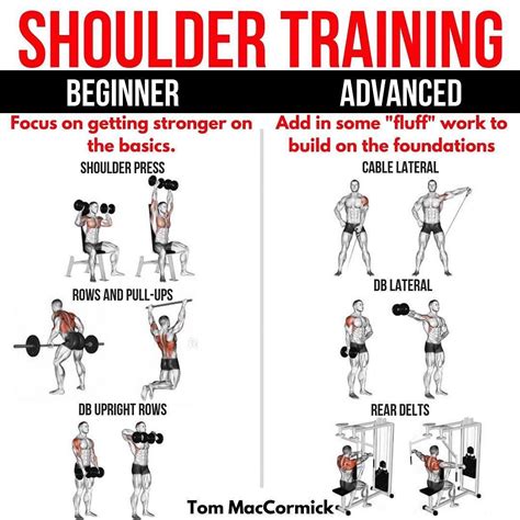 Shoulder Training: Beginner V Advanced -⠀As a beginner your focus should be on mastering the ...