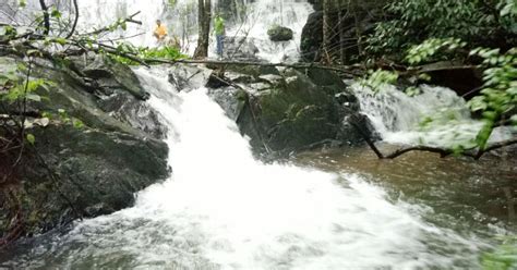 Waterfalls regain their glory in Kodagu