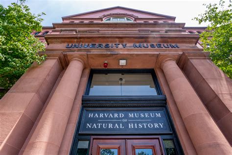 Explore the Harvard Museum of Natural History