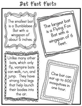 Bats and Caves Non-Fiction Pack by Second Grade Facts and Fairy Tales