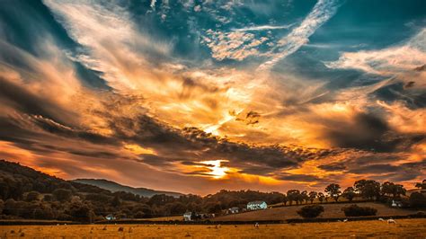 Sunset Sky Clouds Field Trees Horizon 4K HD Wallpapers | HD Wallpapers | ID #31262