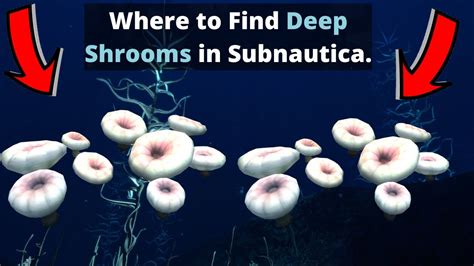 Where to find Deep Shrooms In Subnautica. - YouTube