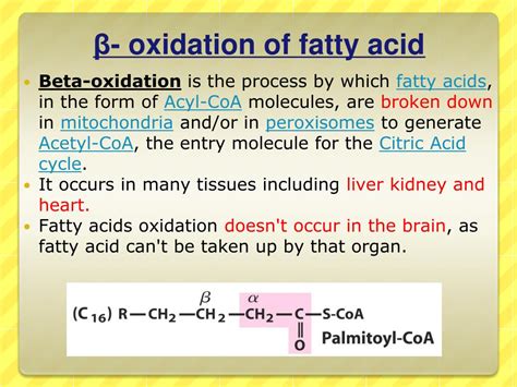 PPT - Oxidation of Fatty Acids PowerPoint Presentation, free download - ID:5328301