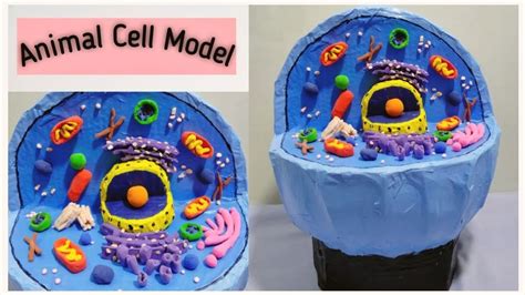 Animal Cell 3D Model | Using Cardboard | For School Projects ...