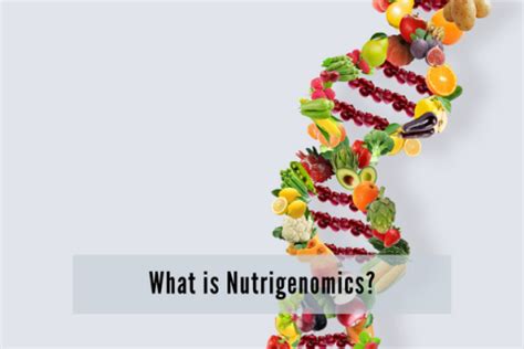 The Nutrigenomics Diet - Using DNA to Personalize Your Diet