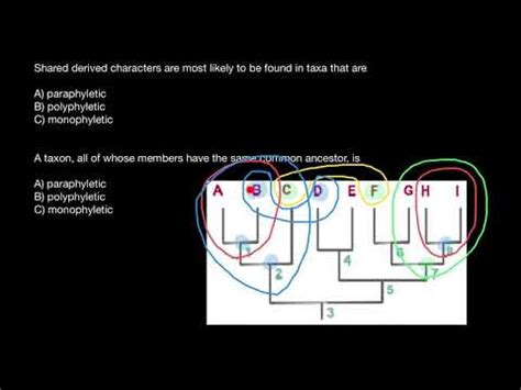 Concepts of Monophyletic, Paraphyletic, Polyphyletic groups - YouTube