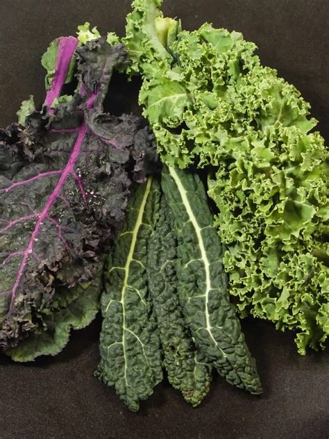 Discover 12 Varieties of Kale - Salads with Anastasia