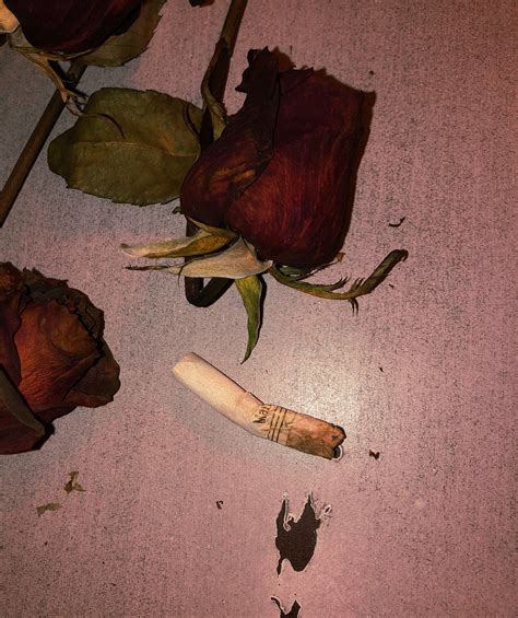 dead roses and cigarette buds. what do they mean to you? Aesthetic Roses, Rosé Aesthetic, Bad ...