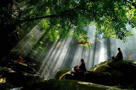 Monks are in natural meditation. | Buddhism, Thai monk, Taoism