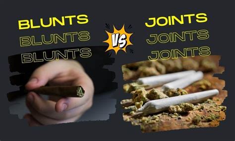 Blunts vs. Joints: What’s the Difference? | CannaAid