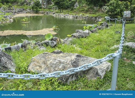 Rock Garden and Pond Beautiful Background Stock Photo - Image of park ...