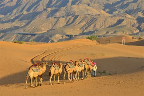 Ningxia Hui Autonomous | China & Asia Cultural Travel