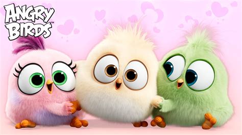 Angry Birds | Every ADORABLE Hatchlings Moment - YouTube