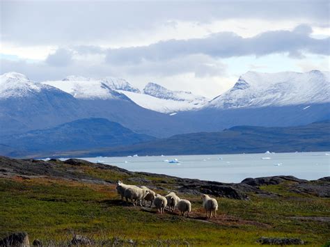 What to See in These 7 Cities in Greenland (PHOTOS) | HuffPost