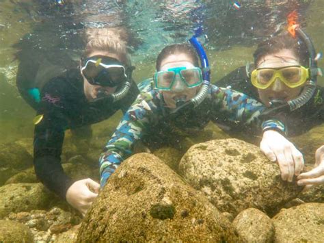 Port Douglas: River Drift Snorkelling Tour in the Daintree | GetYourGuide