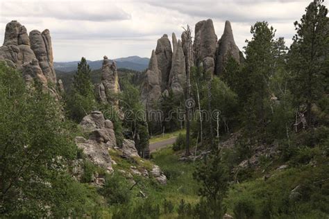 Needles Highway, Black Hills, South Dakota Stock Image - Image of green ...