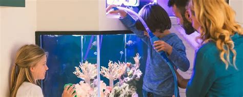 How To Clean A Fish Tank? - Pet Smart Goods