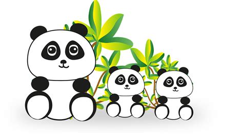 Panda Bear En Voie De - Image gratuite sur Pixabay