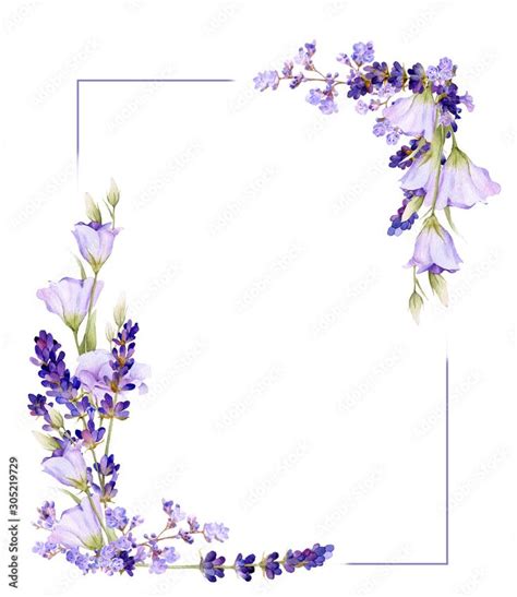 Picturesque frame of lavender, bluebells,leaves, herbs hand drawn in watercolor isolated on a ...