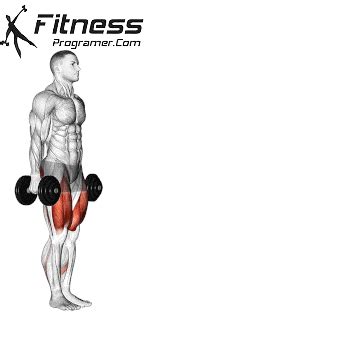 Dumbbell Walking Lunges For Beginners: Tips And Variations