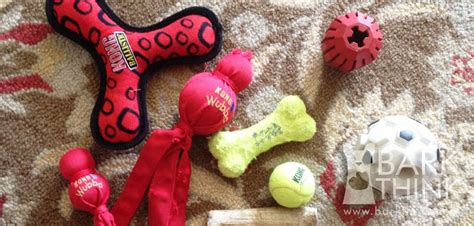 Best KONG Dog Toys for Puppies and Aggressive Chewers