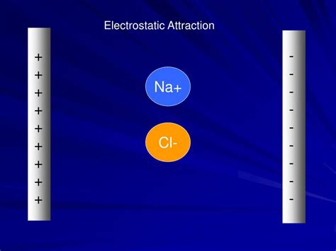 PPT - The Soil Solid Fraction PowerPoint Presentation - ID:329509