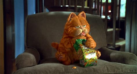 1920x1080px, 1080P free download | Garfield, orange, entertainment ...