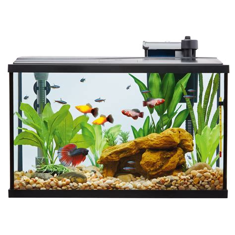 Petsmart Fish Tanks 10 Gallon