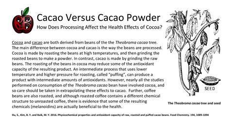 Cocoa Versus Cacao Powder