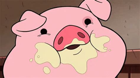 The popular pig GIFs everyone's sharing