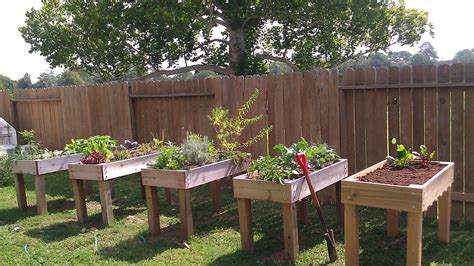 Simple Raised Garden Boxes by Janet Fox | Diy raised garden, Garden ...