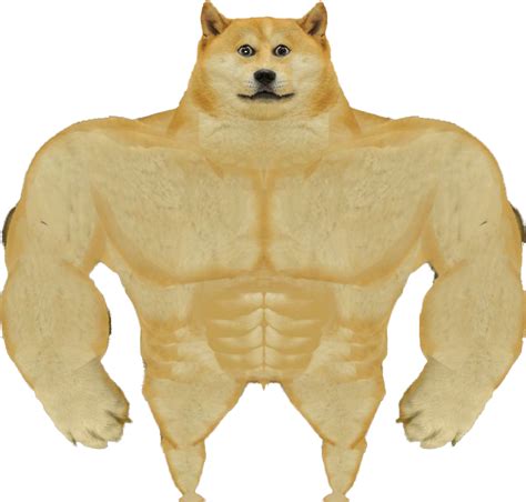 Buff front doge : r/dogelore