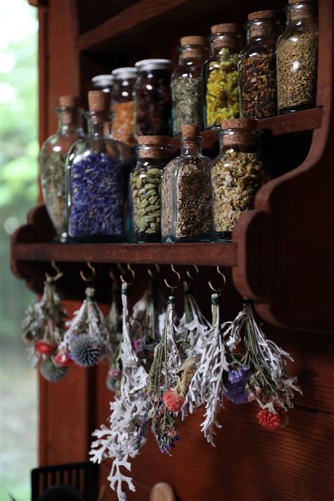 Herbal apothecary shelf with glass cork top bottles filled with dried herbs with hanging dried ...