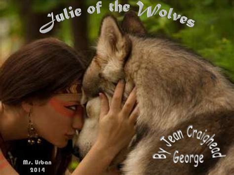 The elements of fiction in Julie of the Wolves