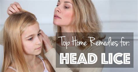 Top Home Remedies for Head Lice