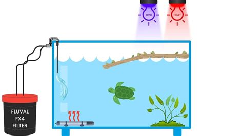 Best Turtle Tank Setup Guide - Everything You Need To Know!