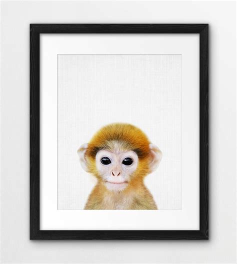 Monkey Print Nursery Animal Wall Art Baby Monkey Poster - Etsy