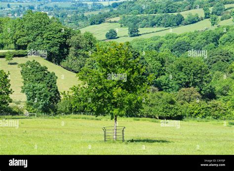 Cotswold landscape hi-res stock photography and images - Alamy