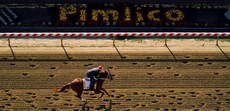 Preakness Beyer Speed Figures | 2023 Horse Racing Stats