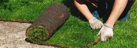 Laying Turf: Everything You Need To Know | Turfman Brisbane