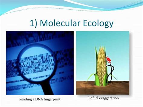 PPT - Environmental Biotechnology PowerPoint Presentation - ID:1605786