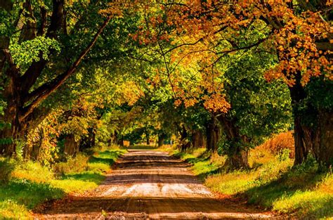 5 Michigan Trails that Lead to Autumn Gold | OutdoorHub