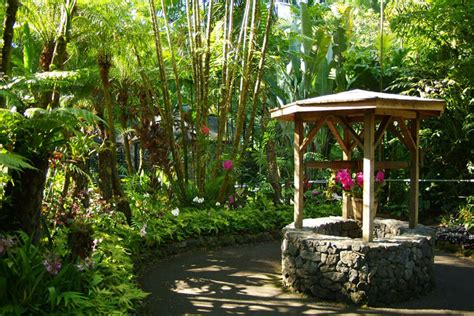 Hawaii Tropical Botanical Garden - Hawaii on a Map