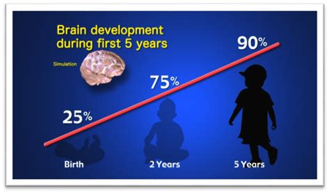 Early Brain Development – The Best for My Kid